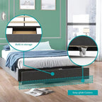 Linen Upholstered Platform Bed with Storage Drawers – Beige / Light Grey / Dark Grey – Full / Queen / King
