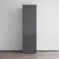 Gray / Black / White Glass-Front Wardrobe Armoire with Matte Body