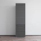 Gray / Black / White Glass-Front Wardrobe Armoire with Matte Body