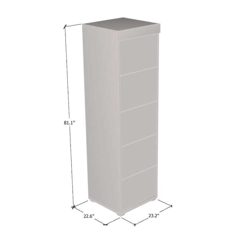 Gray / Black / White Glass-Front Wardrobe Armoire with Matte Body