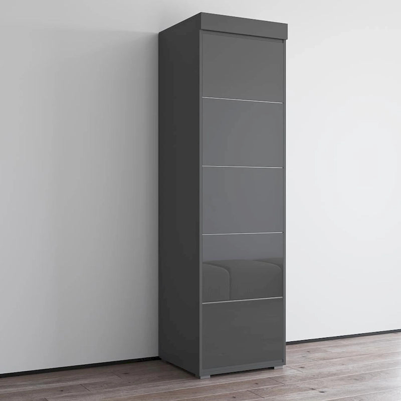 Gray / Black / White Glass-Front Wardrobe Armoire with Matte Body