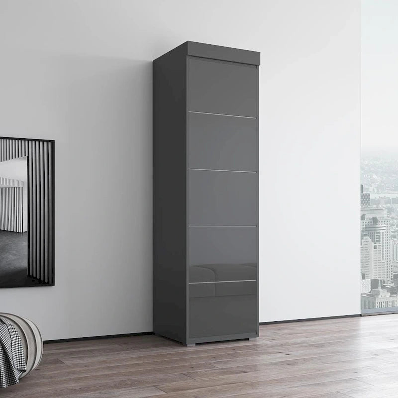 Gray / Black / White Glass-Front Wardrobe Armoire with Matte Body