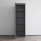 Gray / Black / White Glass-Front Wardrobe Armoire with Matte Body