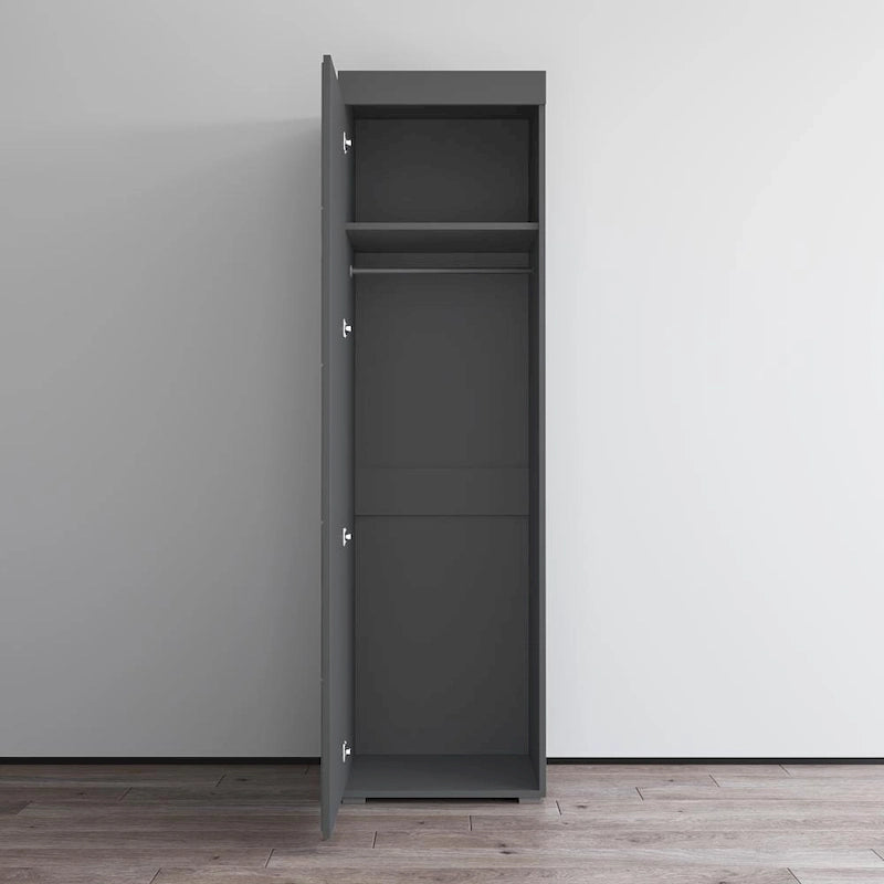 Gray / Black / White Glass-Front Wardrobe Armoire with Matte Body